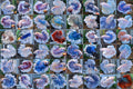 Wholesale 50 Fish Random King Feathertail Betta Fish Male