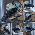 Avatar Yellow Copper Gold HMPK Betta Fish Male